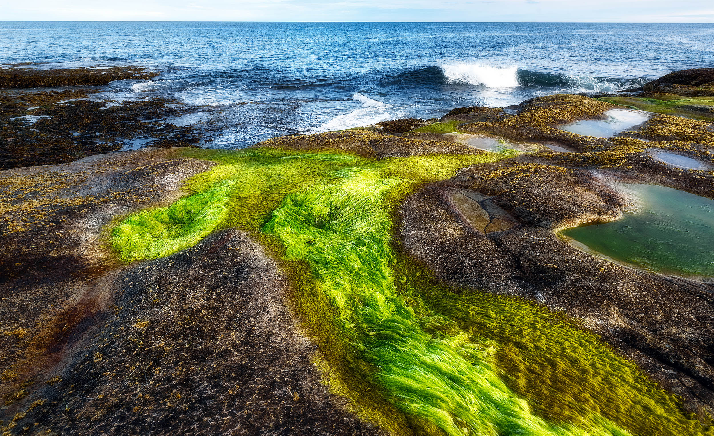 New phenomenon discovered in the Arctic could be a silver lining