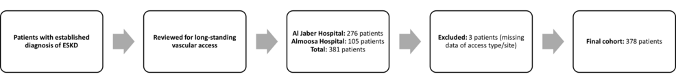 Patterns and Outcomes of Permanent Vascular Access in End-Stage Kidney Disease: A Multicenter Experience