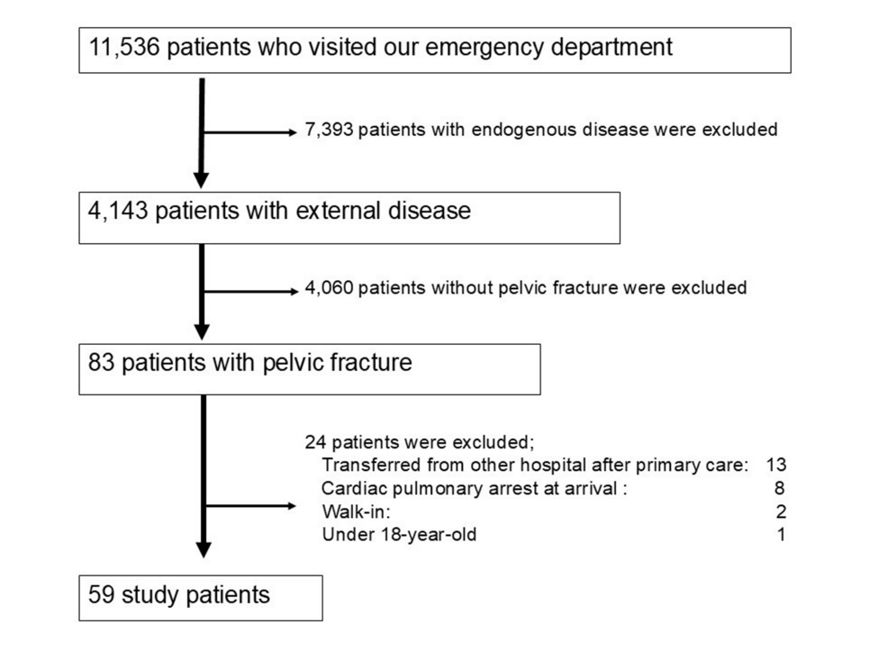 Pubic and Multiple Pelvic Fractures in Trauma Patients Are Associated With Intensive Care Unit Admission