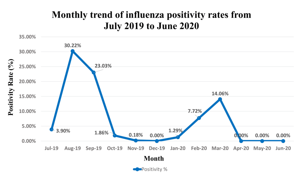 Seasonal Patterns and Subtype Distribution of Influenza Viruses in a Tertiary Care Hospital in North India: A One-Year Observational Study