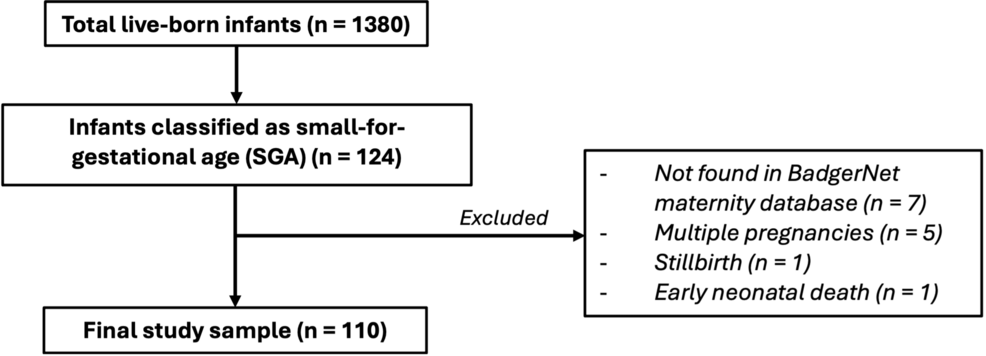 A Service Evaluation of Antenatal Detection of Small-for-Gestational-Age Infants in a UK National Health Service Trust