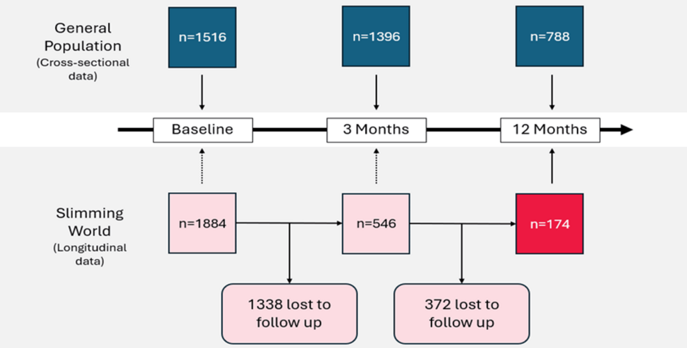 Changes in Health-Related Behaviours Among Adults Who Accessed Real-World Weight Management Support: 12-Month Outcomes