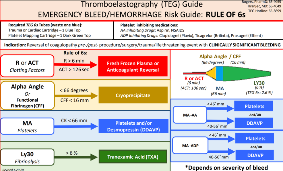 Correlation Between Thromboelastography and Standard Coagulation Tests at a Tertiary Community Hospital