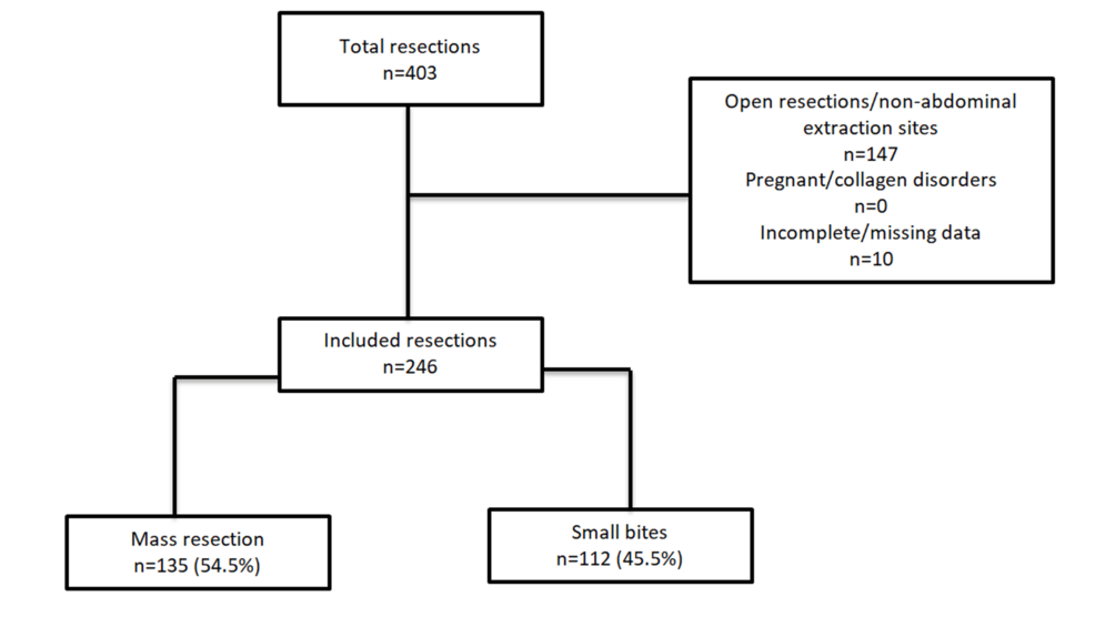 Effectiveness of Small Bites Closure in Reducing Incisional Hernia at Specimen Extraction Sites Following Minimally Invasive Colorectal Cancer Surgery