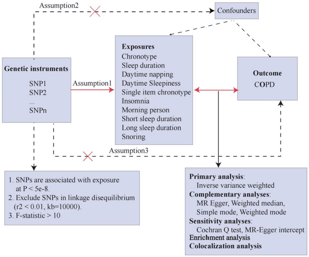 Causal Association Between Sleep Disorders and Chronic Obstructive Pulmonary Disease: A Bidirectional Mendelian Randomization Analysis for Clinical Practice