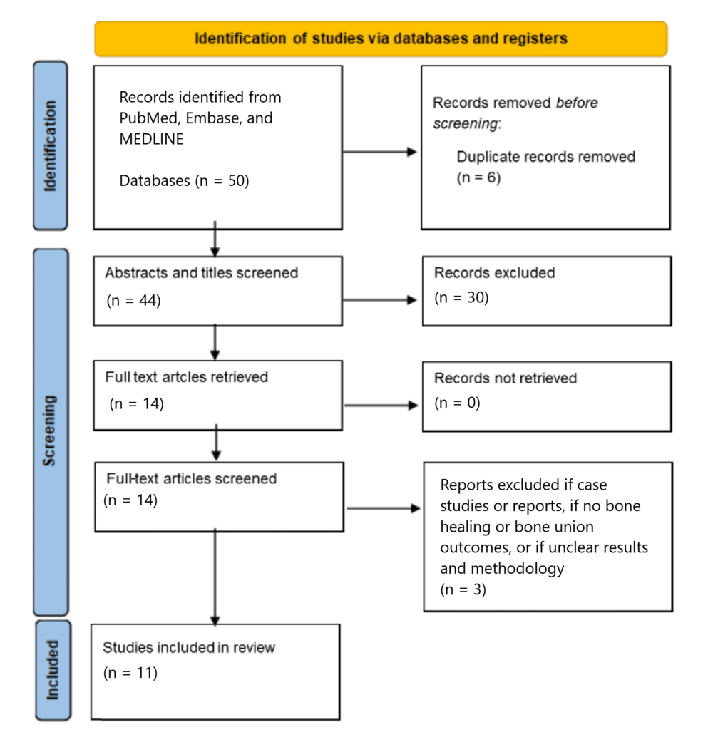 To What Extent Do Disease-Modifying Anti-rheumatic Drugs Affect Bone Union in Trauma and Orthopaedic Patients?