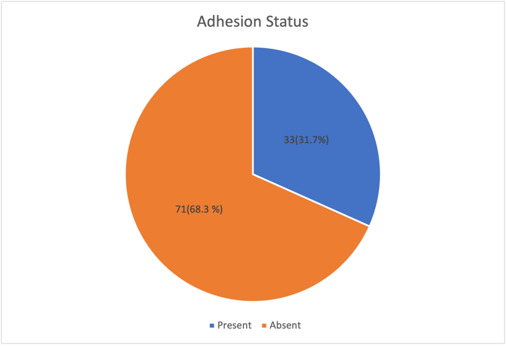 Risk Factors Contributing to Adhesive Disease Following Primary Cesarean Section: A Cross-Sectional Study