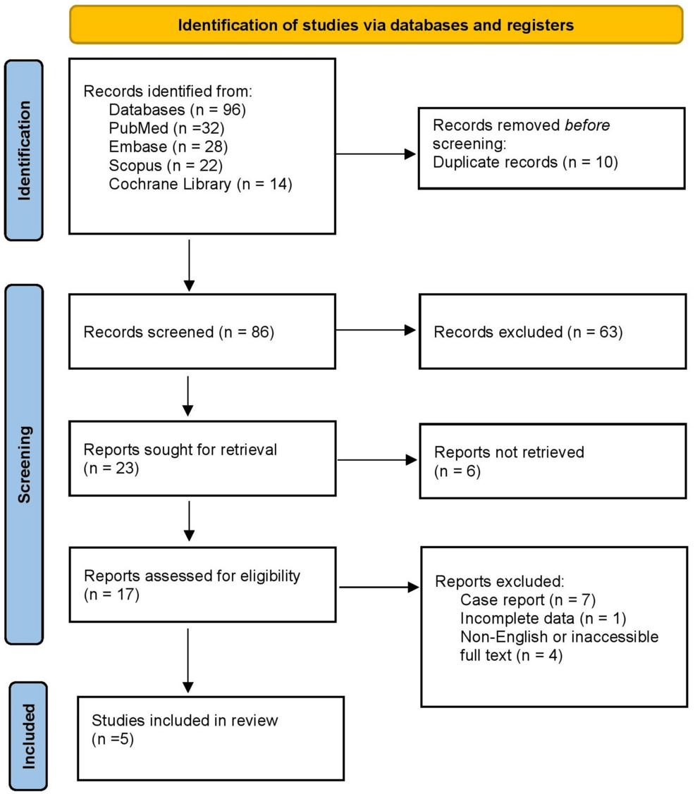 Patterns of Head CT Utilization in Emergency Department Patients With Minor Head Injury: A Systematic Review
