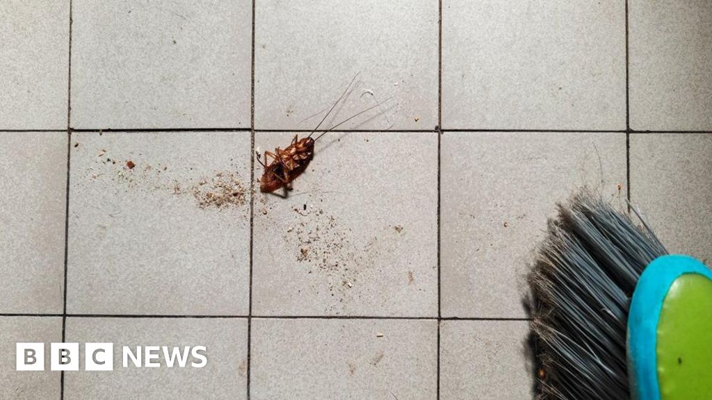 Woman trying to kill cockroach burns down apartment
