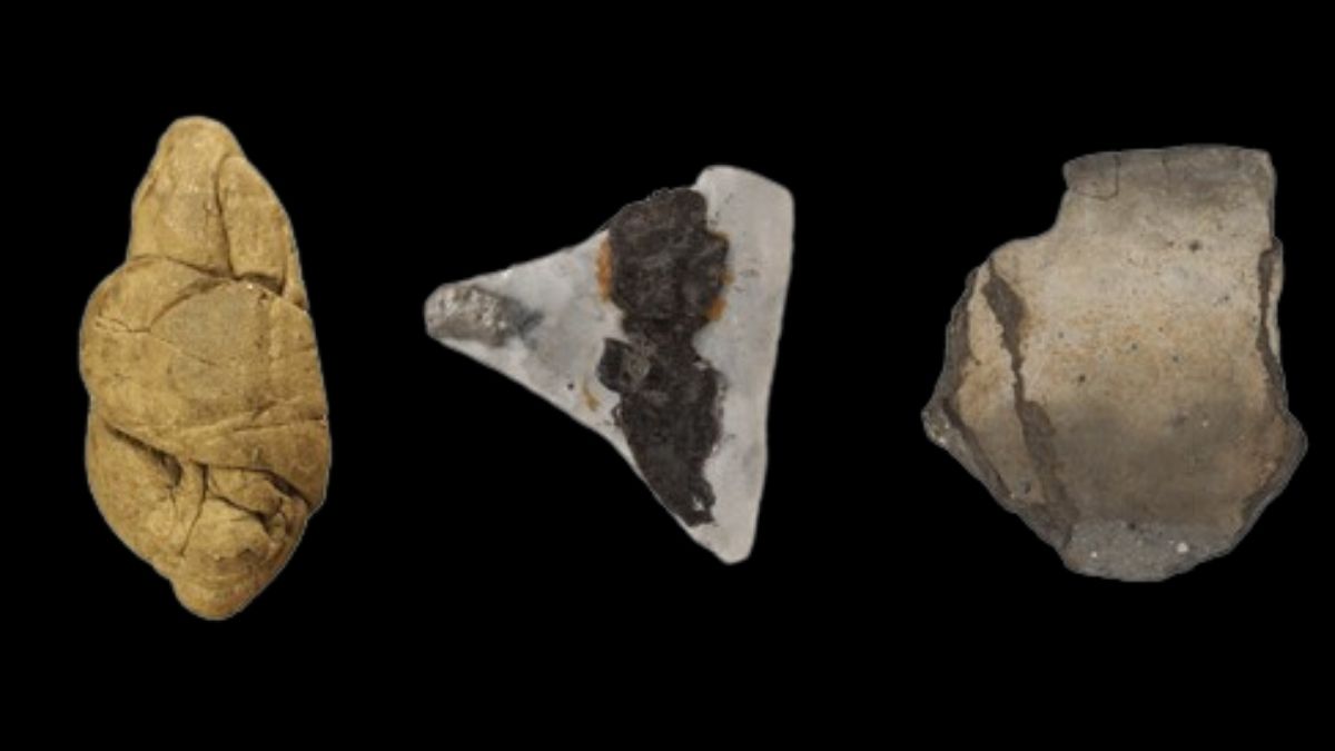 6,000-Year-Old Chewing Gum Reveals Clues on Neolithic Gender Roles : ScienceAlert
