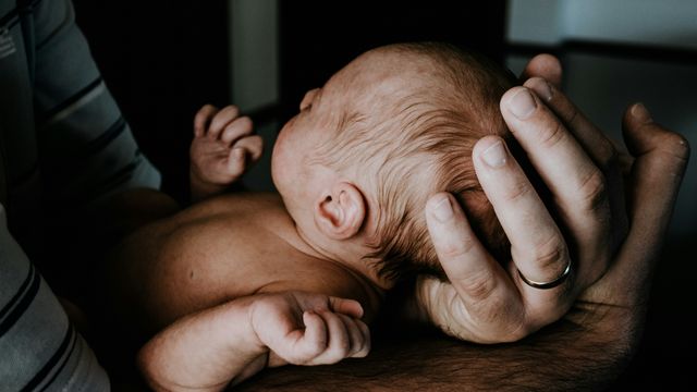 Social Perception Brain Network Is Already Active at Birth
