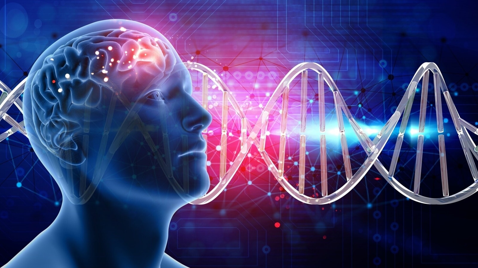 Cardiologist, neurologist explain how heart and brain health influence each other: ‘they are an nseparable pair…’