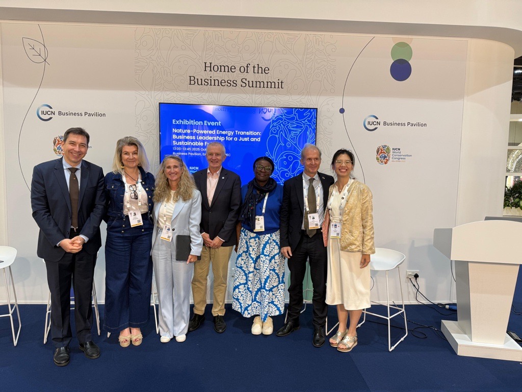 Nature-Powered Energy Transition: Financing Nature as Core Infrastructure – News