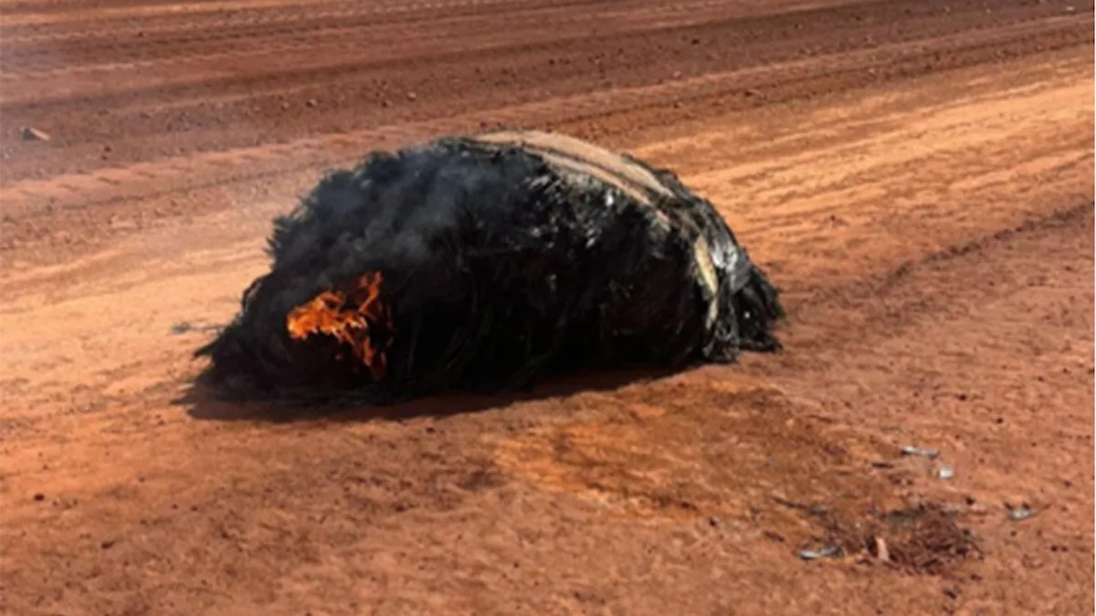 ‘It … was burning when found’