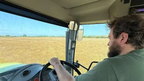 Sam Morrey The view from the passenger seat of a tractor. Sam Morrey wears a green T-shirt, he drives a combine harvester. Through the windows you can see large fields of yellow crops.