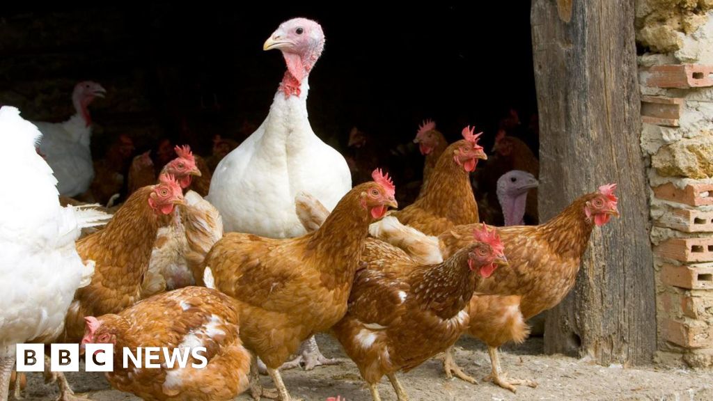 East Yorkshire farmer says bird flu measures are becoming regular