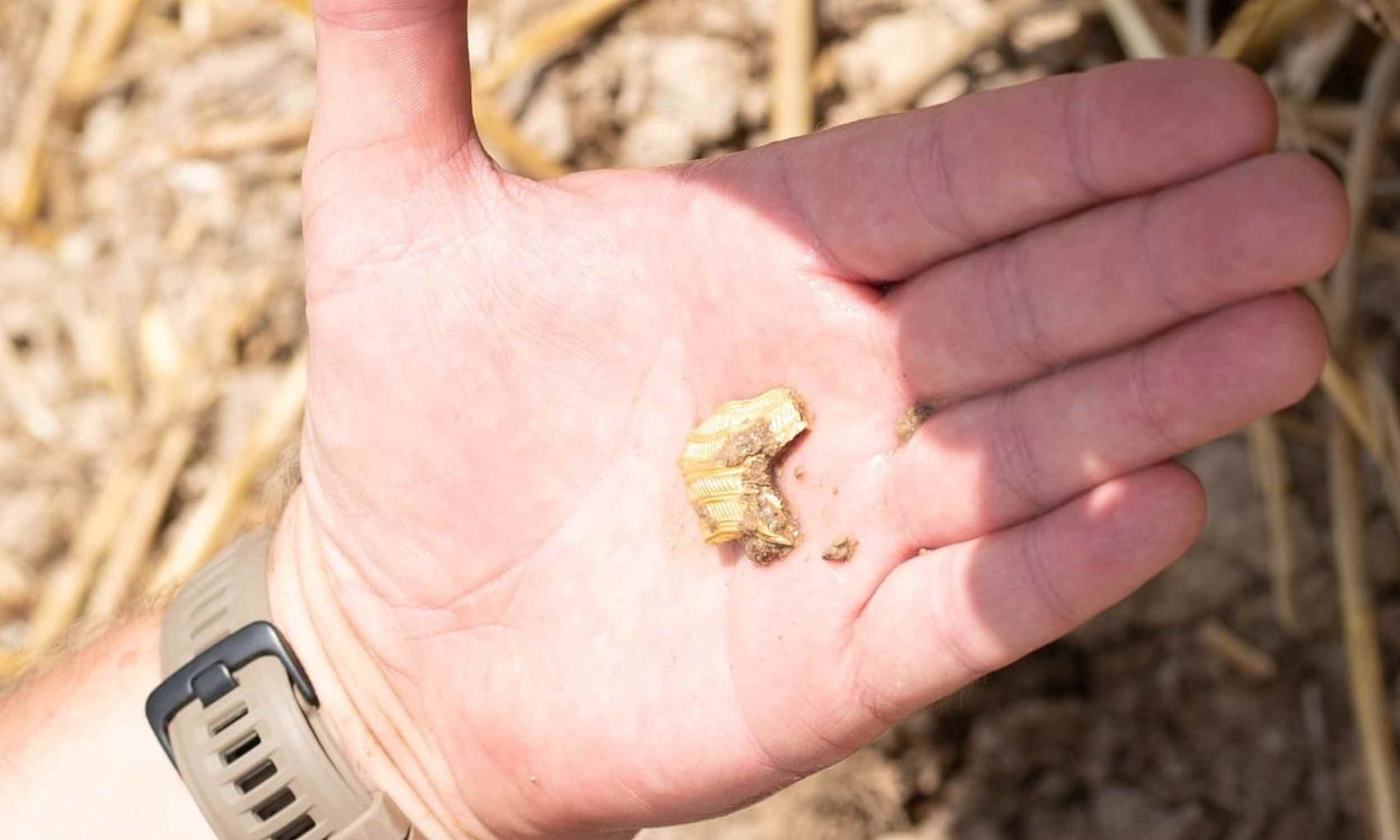 Celtic treasure trove with coins and jewelry dating back 2,000 years