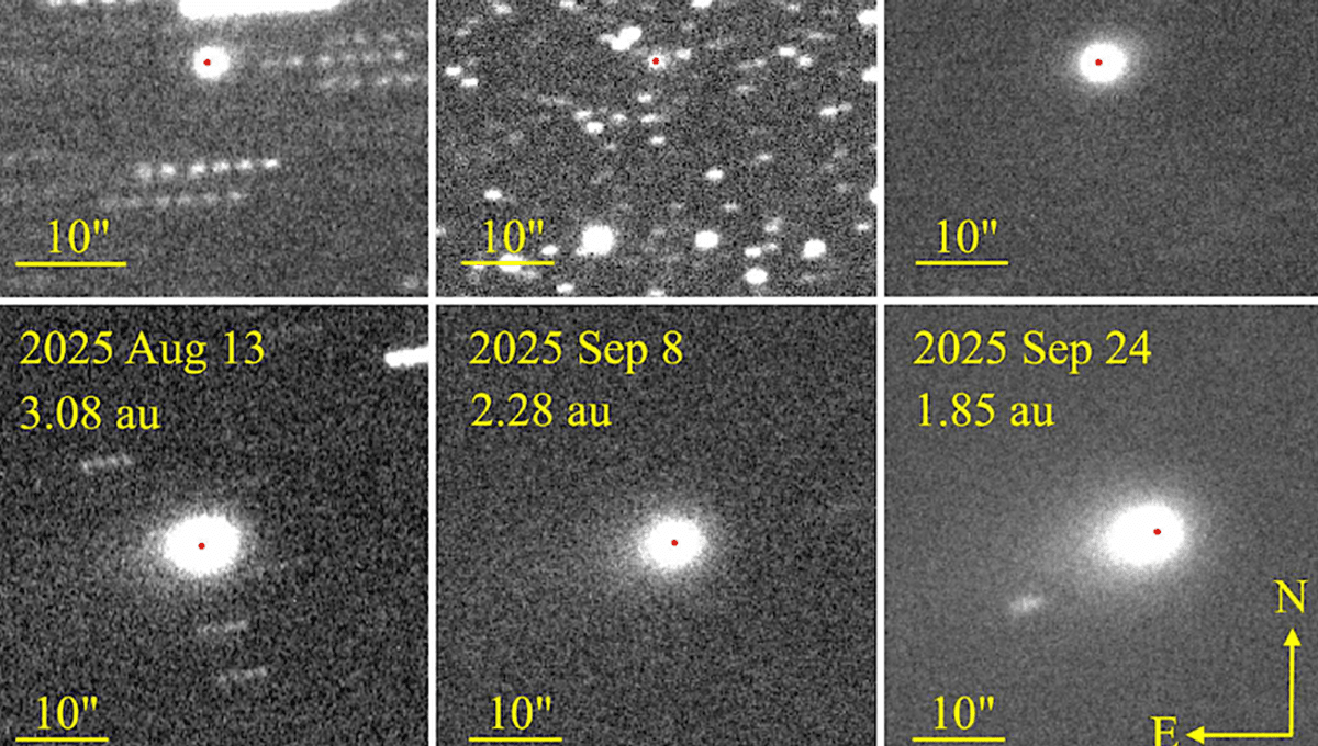 Interstellar Object 3I/ATLAS’s Tail Appears To Have Changed Direction, Nordic Optical Telescope Finds