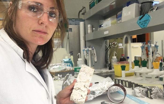 Neutron Scans Unlock Coral Climate Secrets