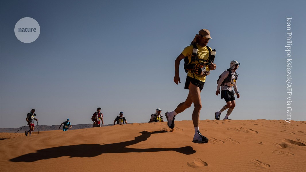 What’s the cap on human energy expenditure? Elite athletes reveal ‘metabolic ceiling’