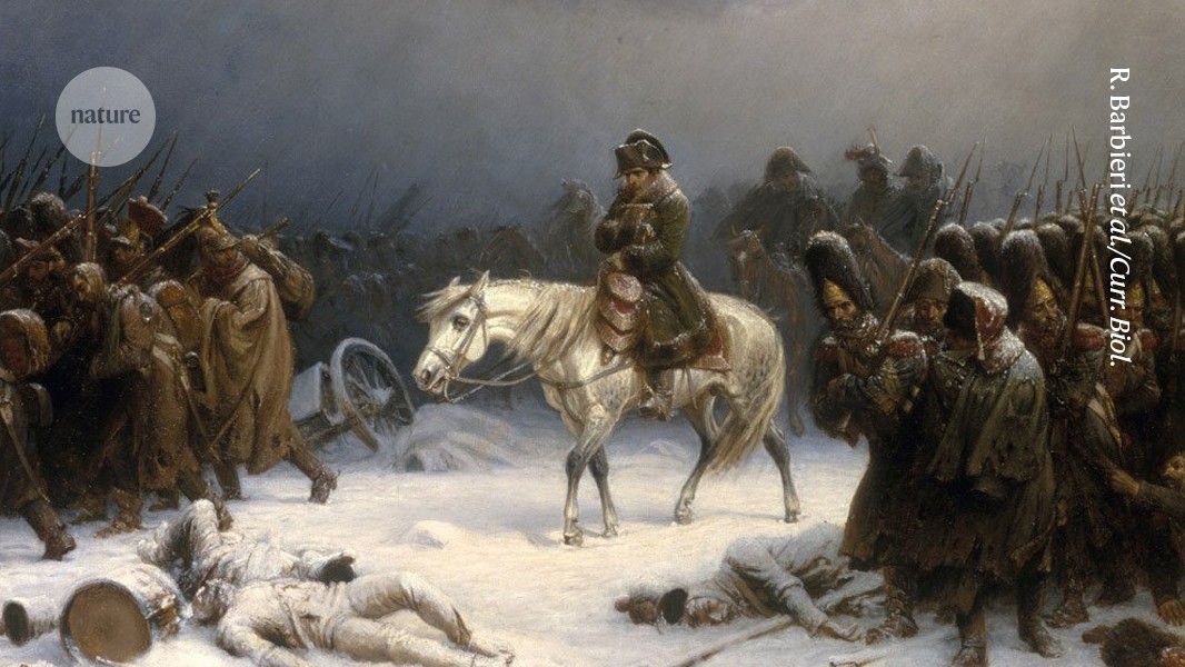 How Napoleon’s army met its doom: DNA reveals surprise illnesses had a role – Nature