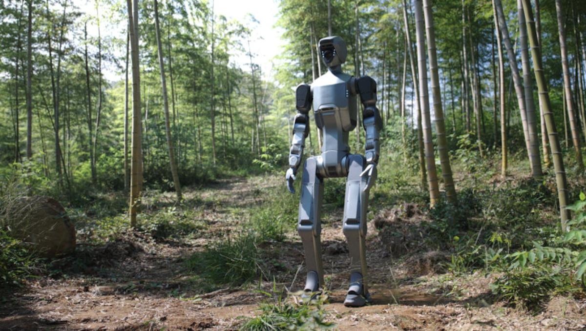‘Little Dragon’ Deep Robotics scrambles for top talent amid China’s quest for dominance