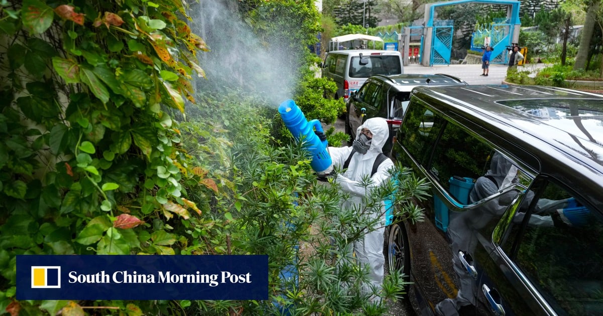 Hong Kong leader vows to nip chikungunya in the bud as 21 show symptoms
