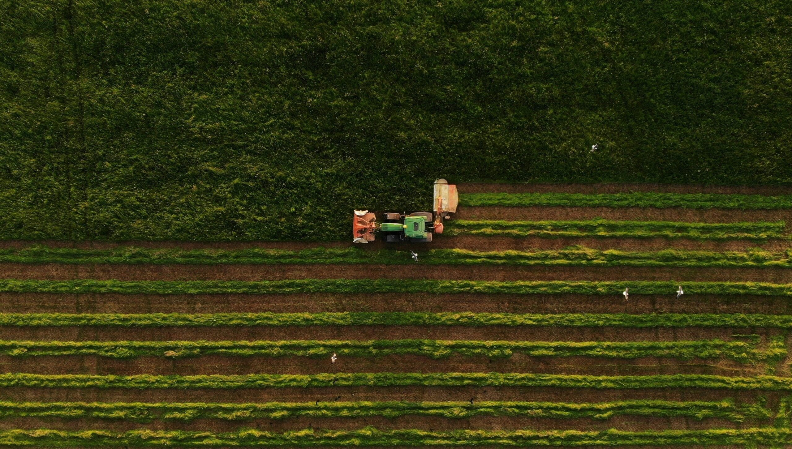 The Transformative Power of AI: Smarter Field Management, Happier Farmers