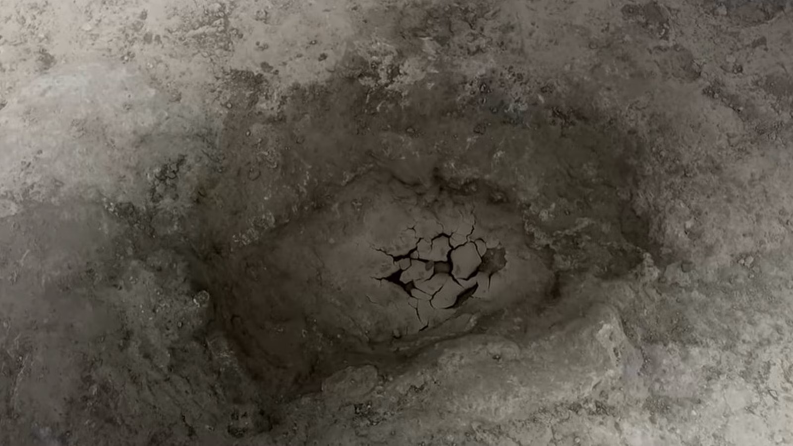 ‘Insanely big footprints’ reveal superhighway trailed by dinosaurs in UK | World News