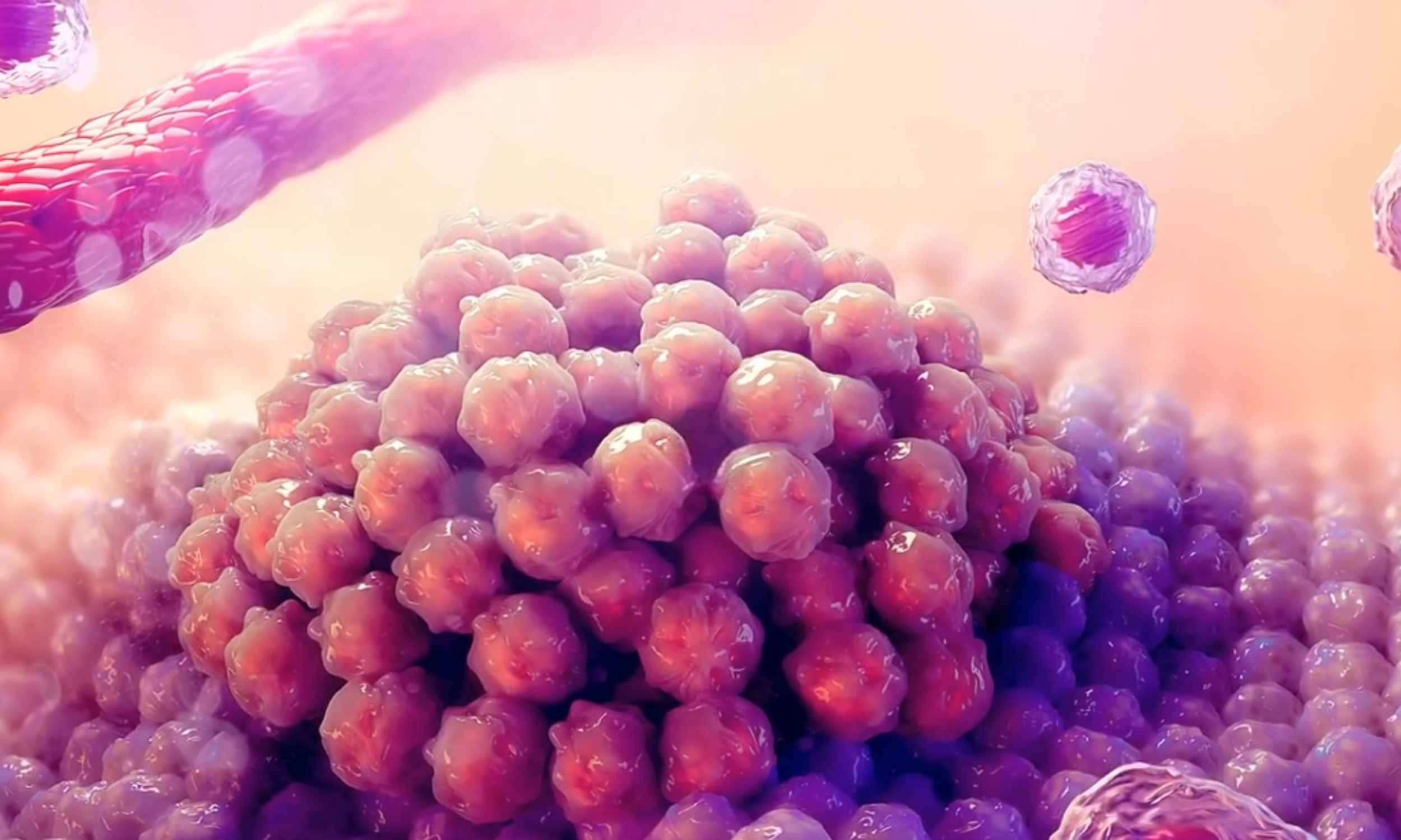 New twist boosts immunotherapy treatment in cancer patients