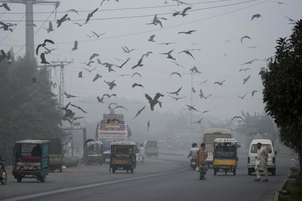 Toxic winds from India choke Lahore, trigger health emergency