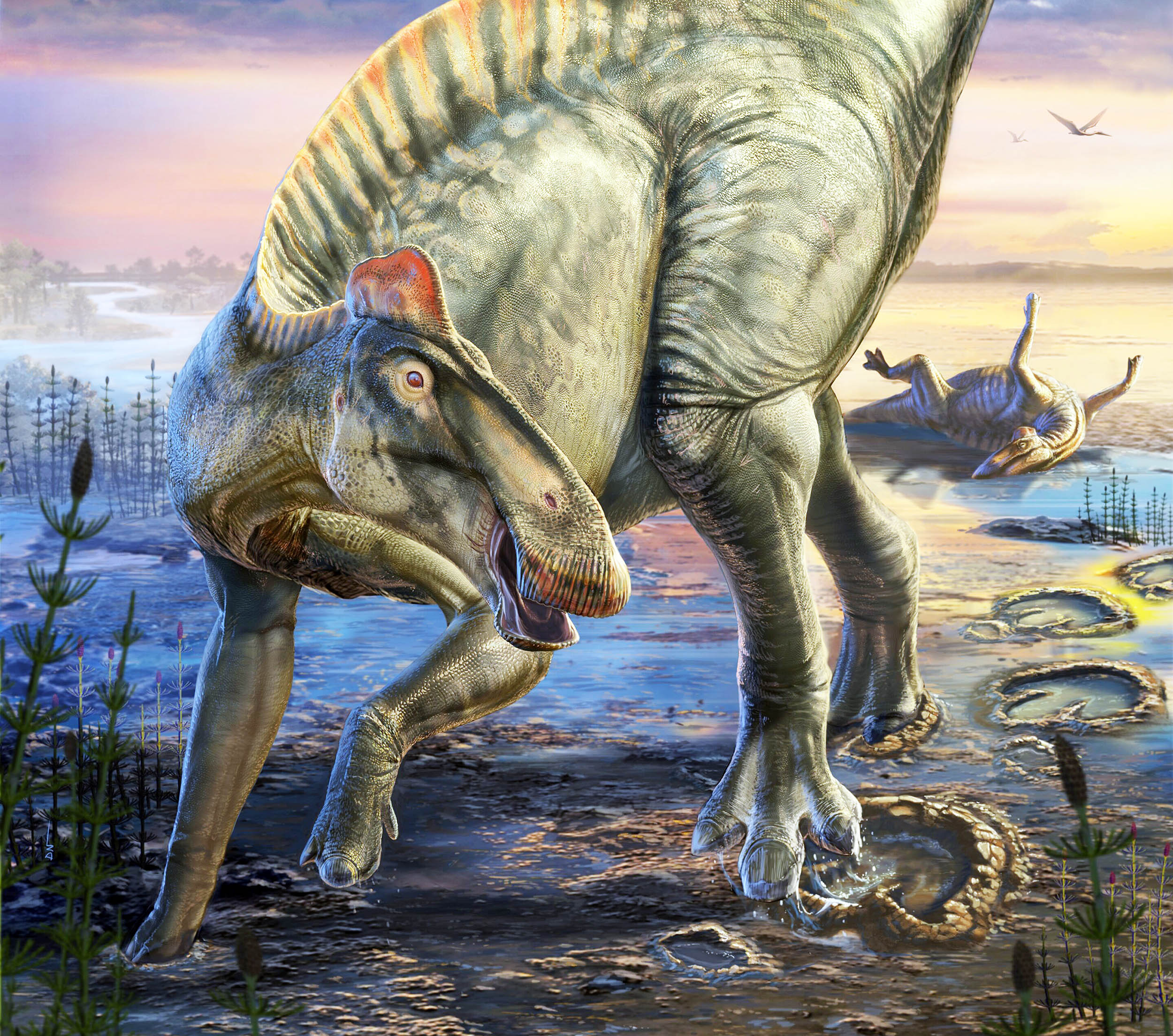 Scientists find very well-preserved duck-billed dinosaur ‘mummies’