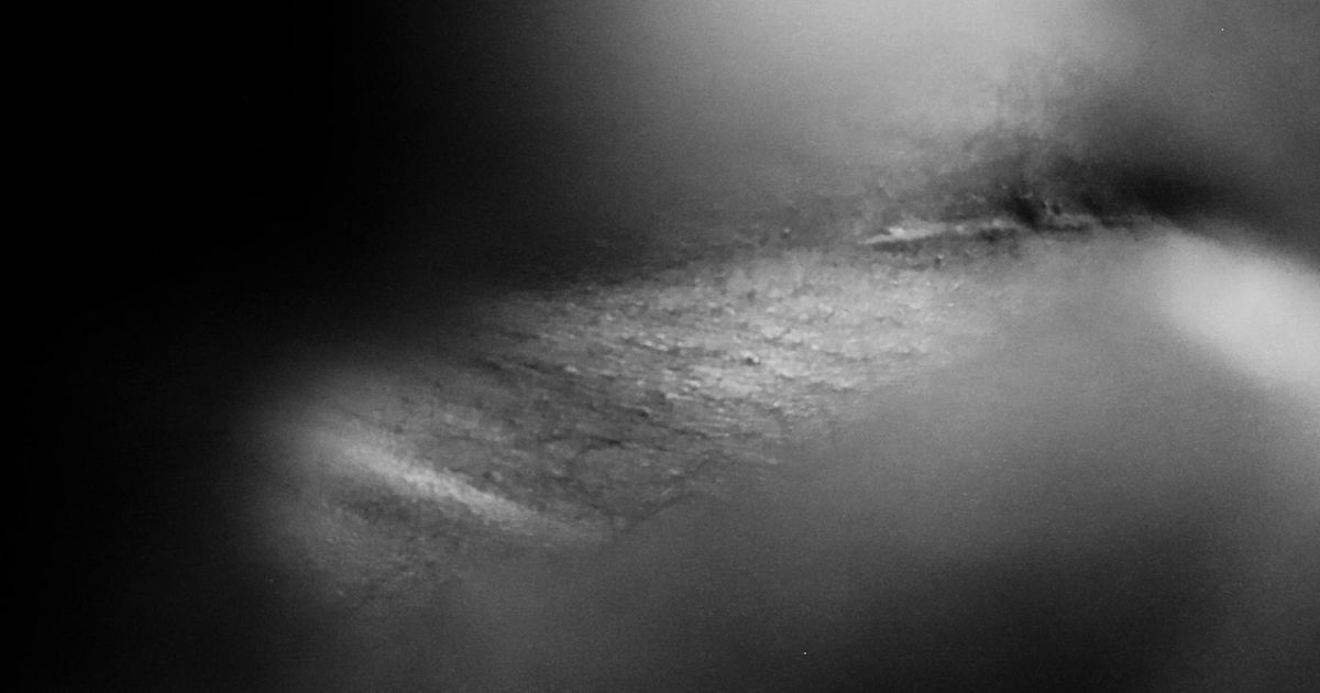 Shala Miller: Scar Light – Announcements