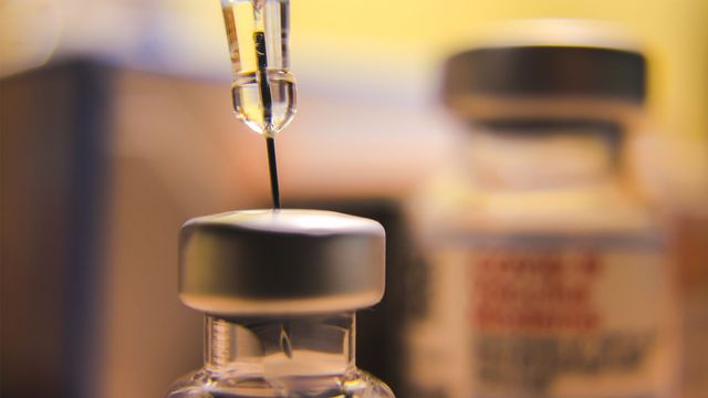 Novel Vaccine Shows Promise Against Typhoid and Salmonella