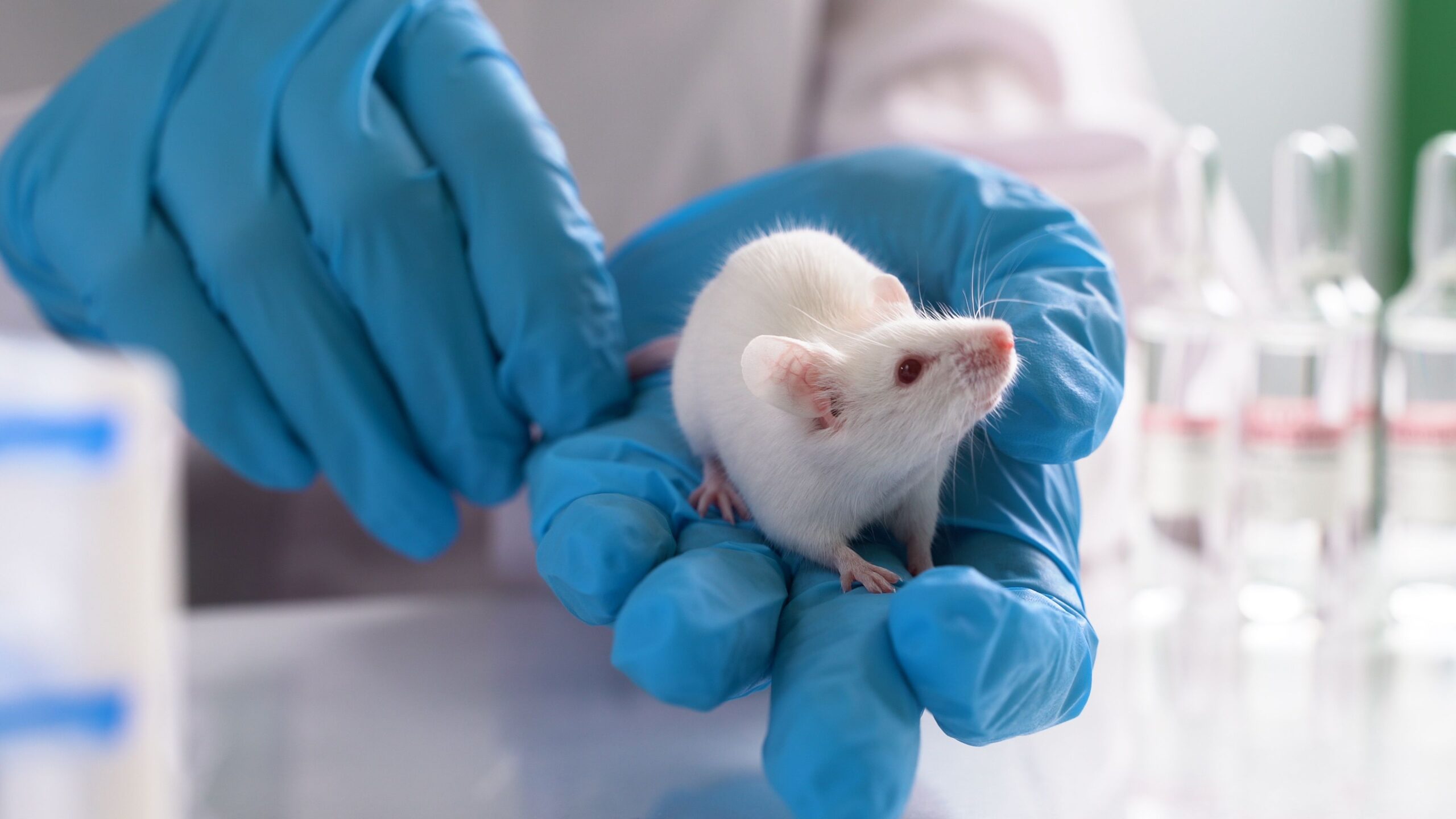 Impact of Gut Microbiome on Reward Pathways and Alcohol Use Disorder: Q&A With Investigators of New Study