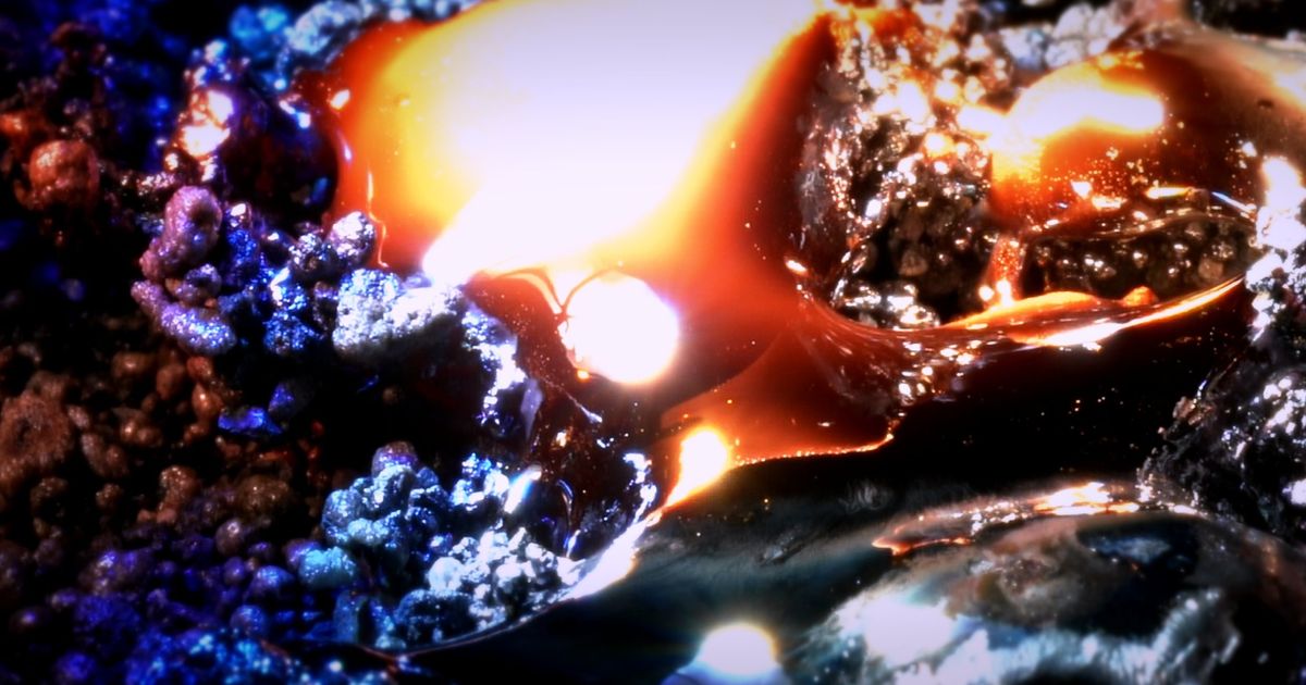 Down Deep. Living seas, living bodies. – Announcements
