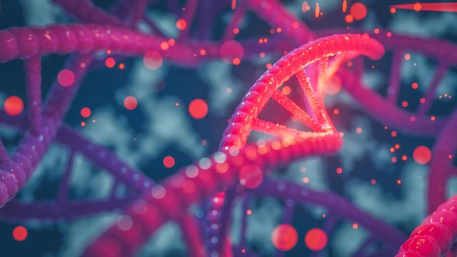 Preclinical Study: Gene Therapy Protects Kidneys in Type 1