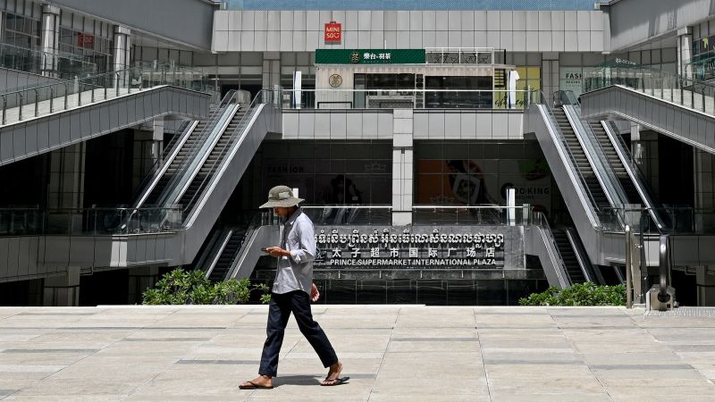 The young tycoon accused of masterminding a multibillion-dollar international fraud network
