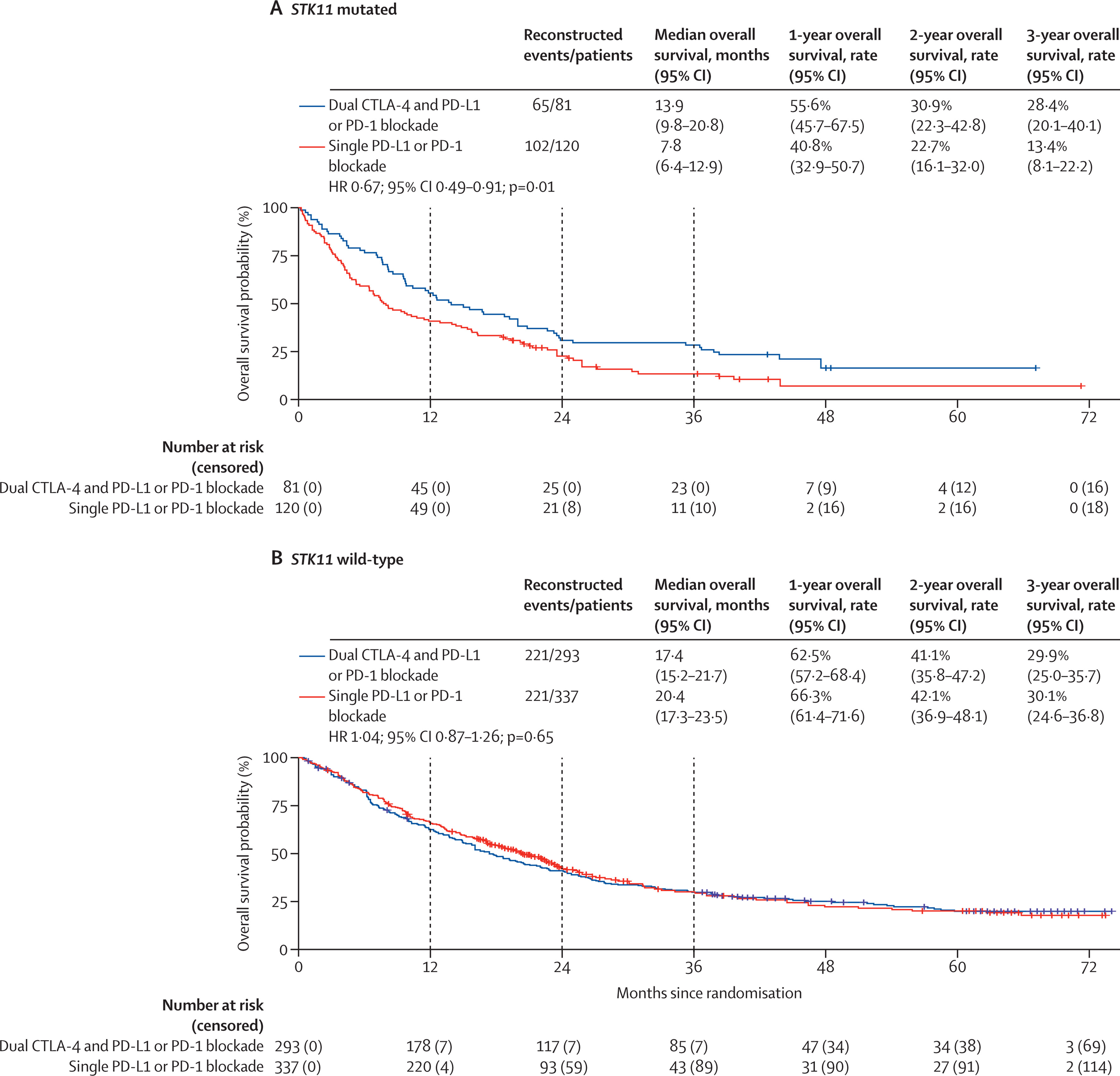 Non Small Cell Lung Cancer