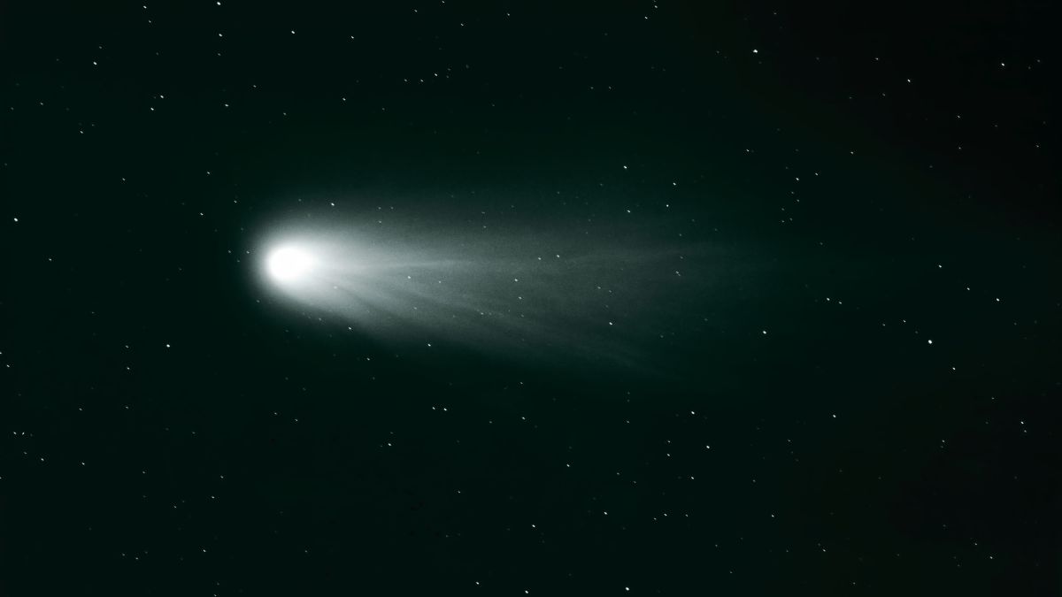 The Orionid Meteor Shower Is About to Peak in a Moonless Sky : ScienceAlert