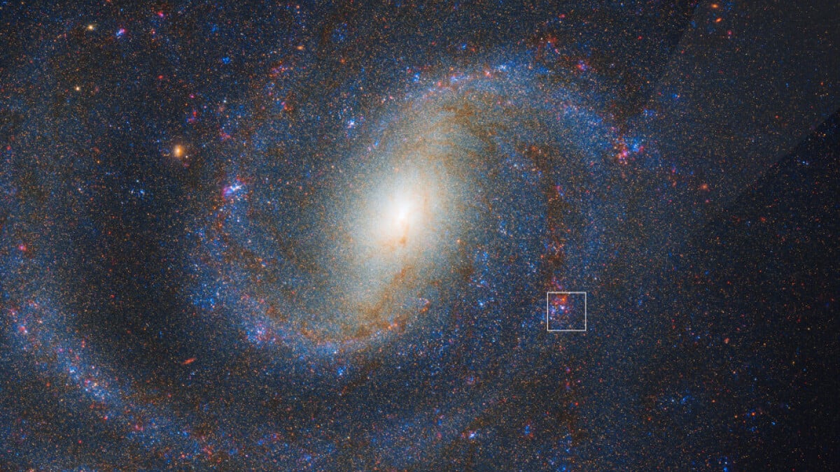 For the first time, Webb catches the before and after of a supernova