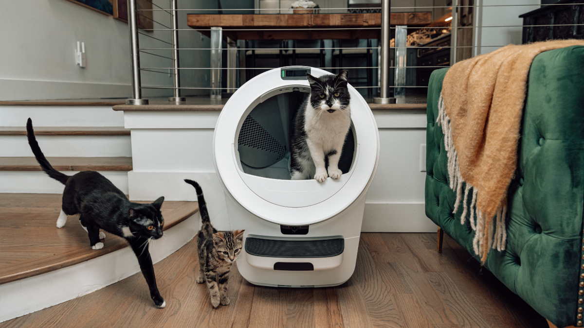 Litter-Robot 5 release date: How to pre-order the 3 new automatic litter boxes