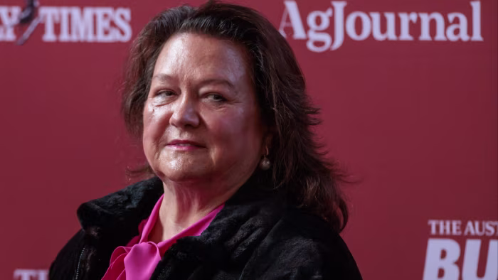 Iron ore demand ‘plateaued’, says group owned by Australia’s richest woman