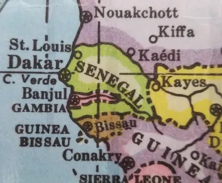 Senegal reports 22nd death in Rift Valley fever outbreak