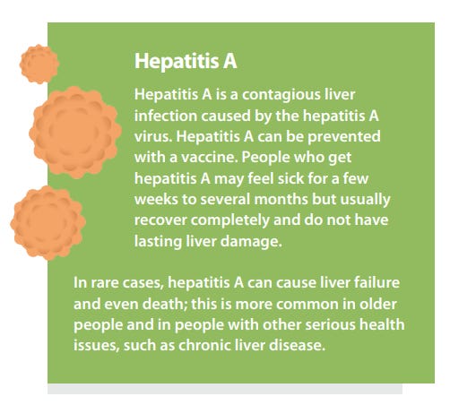 Czech Republic Hepatitis A outbreak may last another one or two years: Health expert