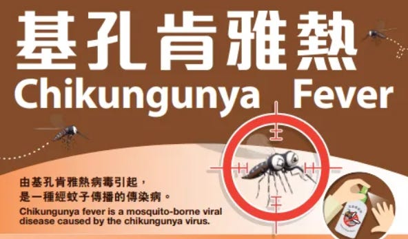Hong Kong investigates first locally acquired chikungunya case