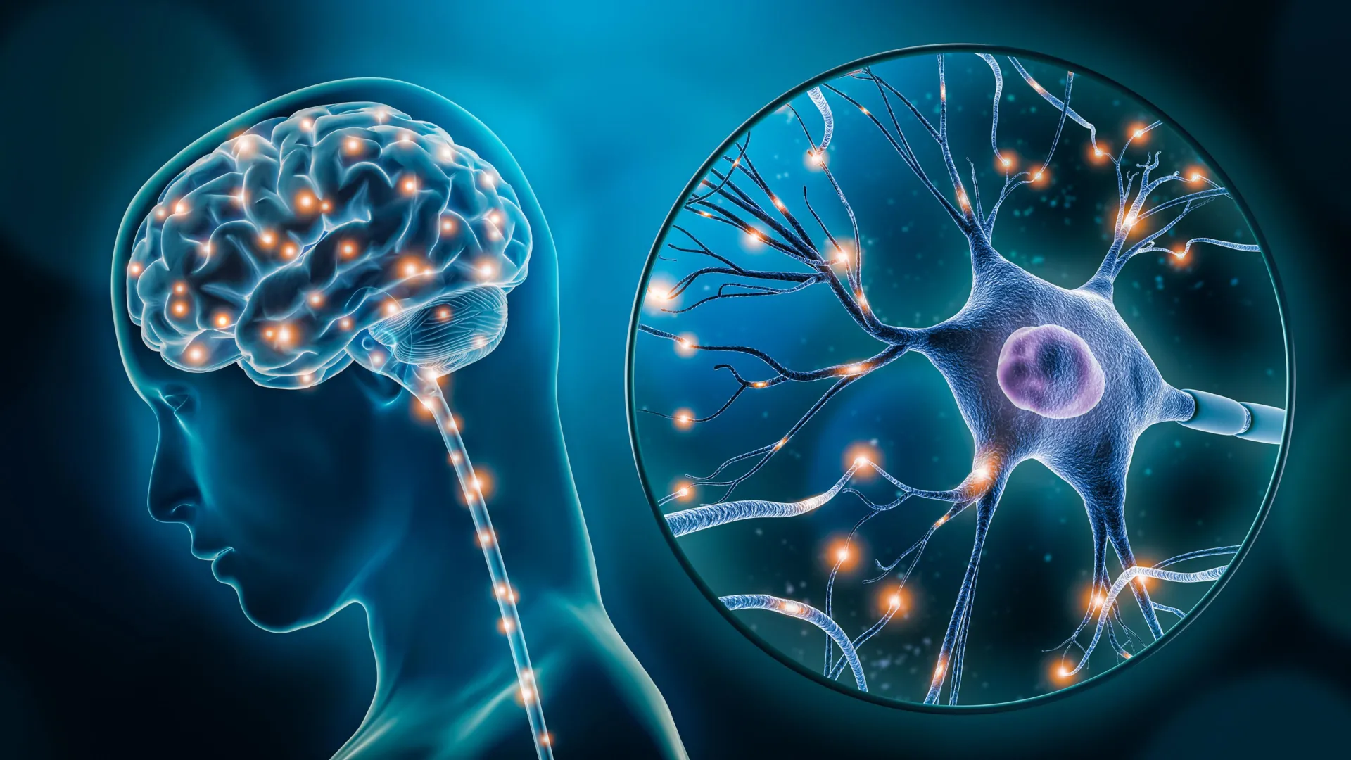 For the first time, scientists pinpoint brain cells linked to depression