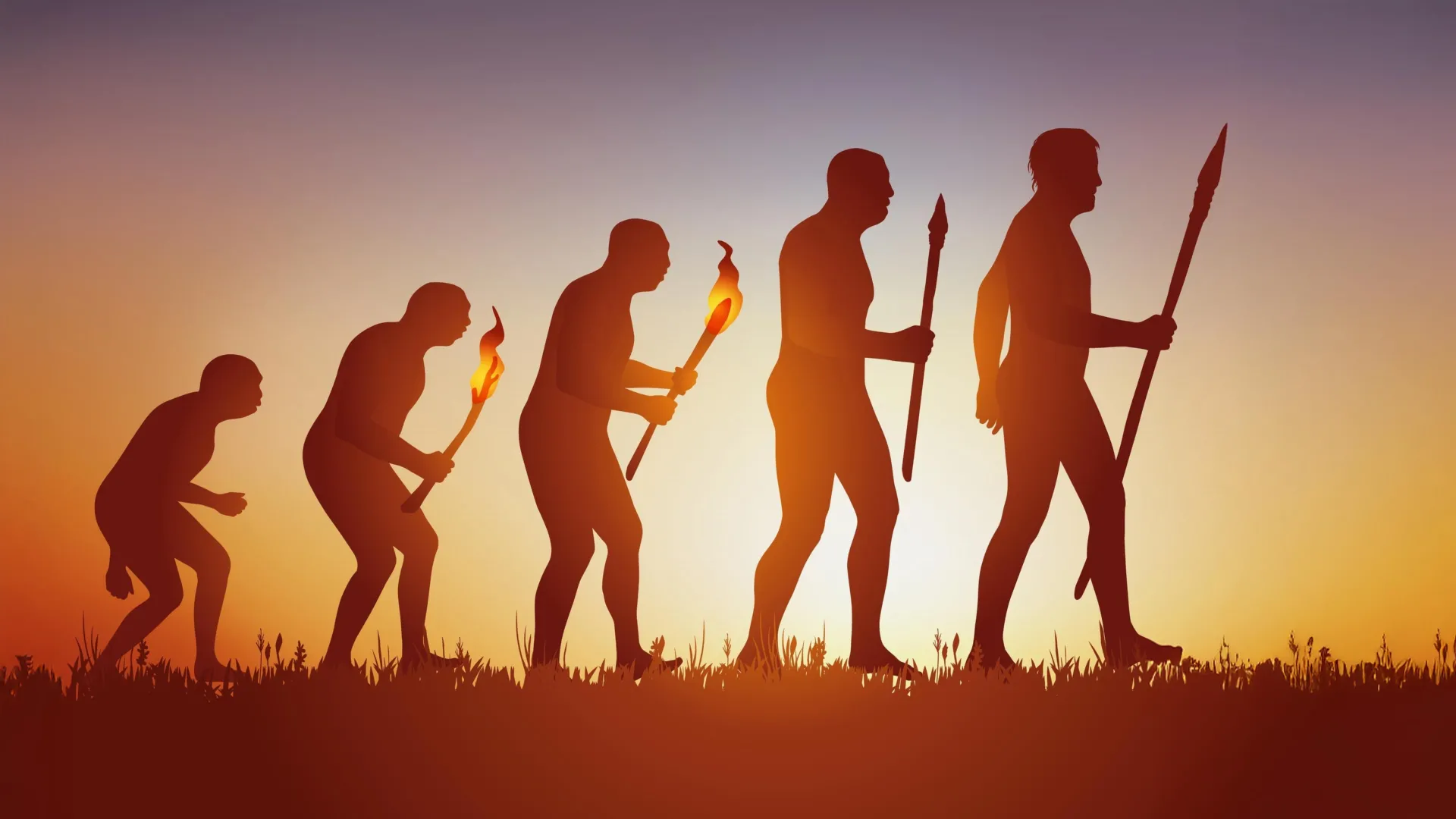 Humans evolved faster than any other ape