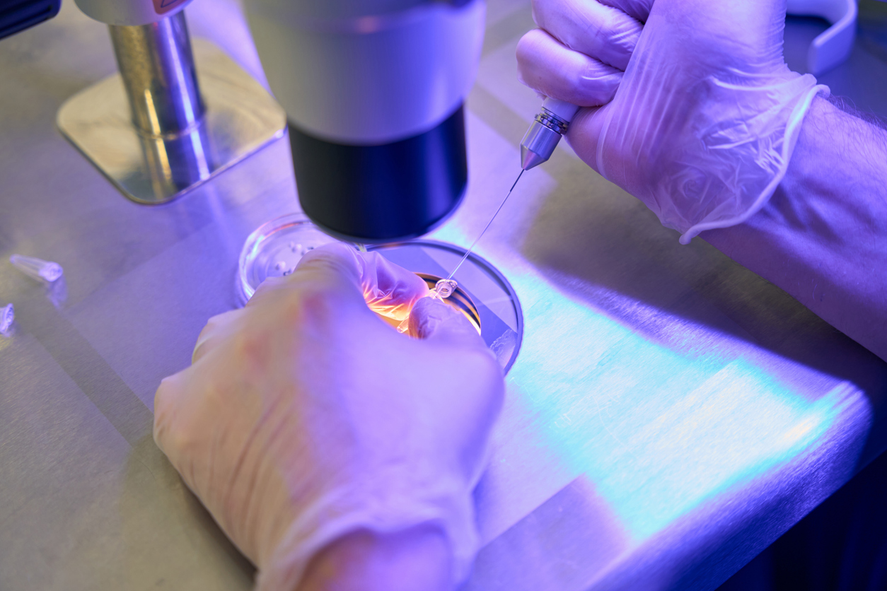 Lab-grown human embryo model creates blood stem cells