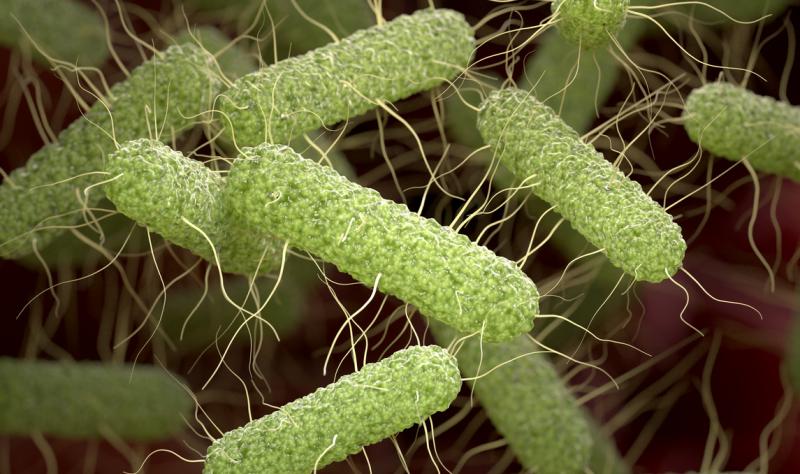Vaccine for typhoid, invasive Salmonella shows promise in phase 1 trial